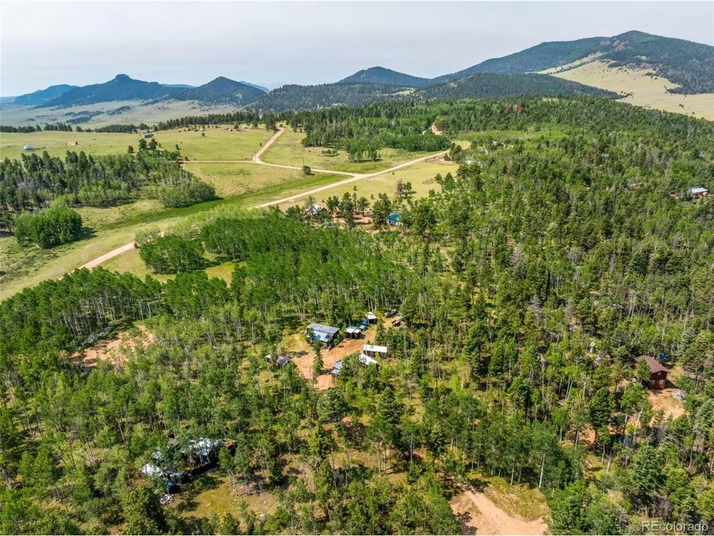 106 Forest Court Florissant, CO 80816