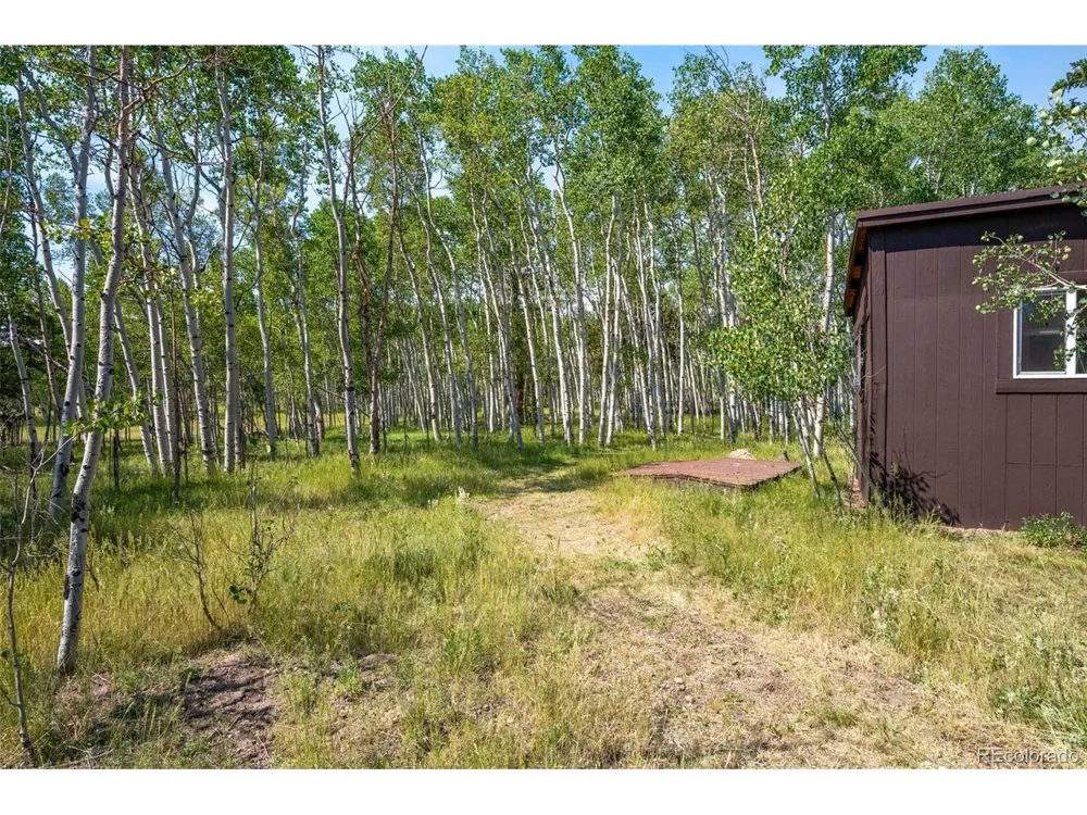 106 Forest Court Florissant, CO 80816