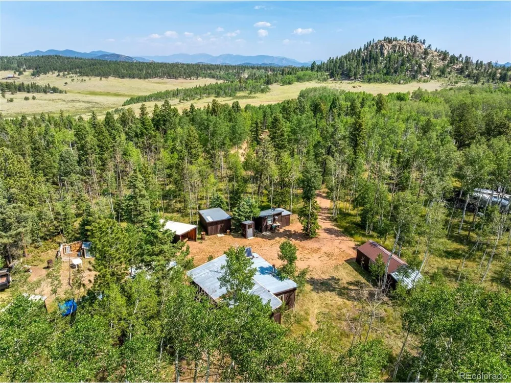 106 Forest Court Florissant, CO 80816