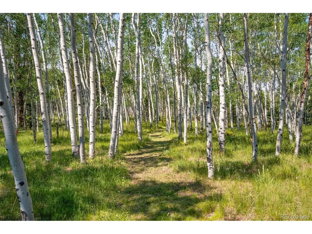 106 Forest Court Florissant, CO 80816