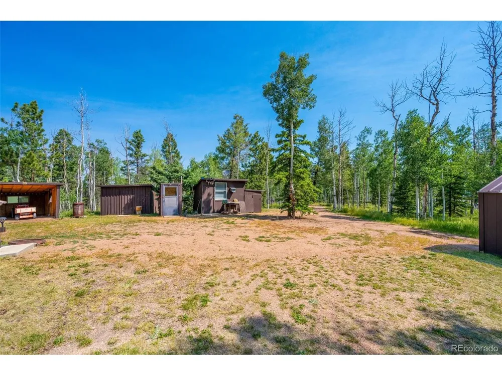 106 Forest Court Florissant, CO 80816