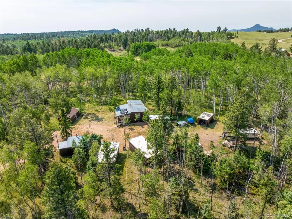 106 Forest Court Florissant, CO 80816