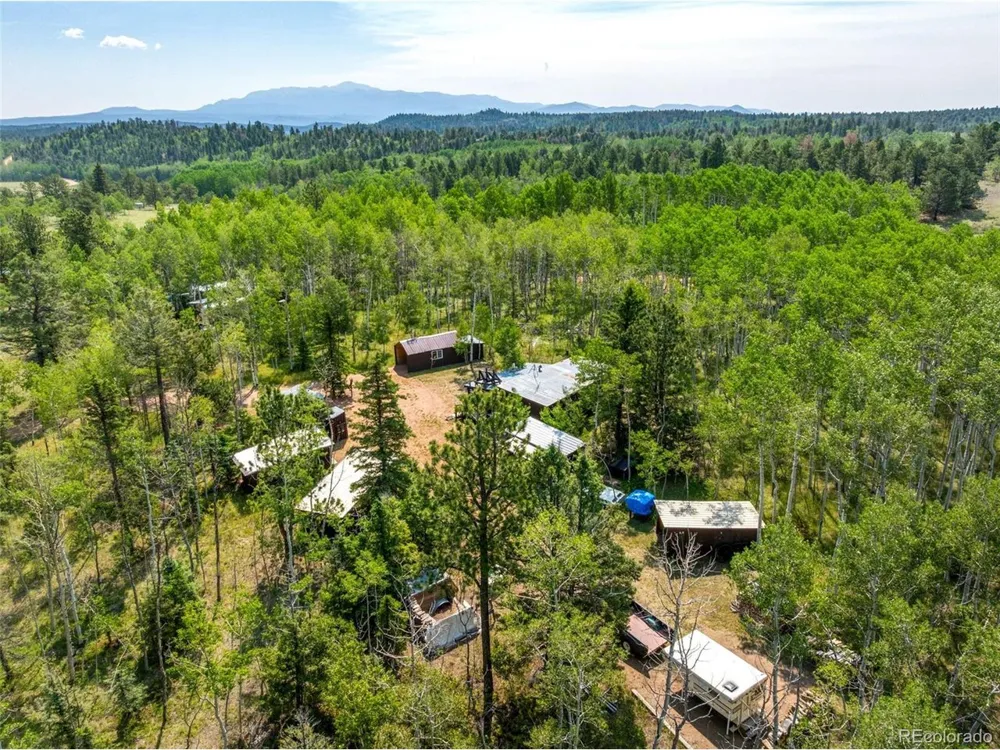 106 Forest Court Florissant, CO 80816