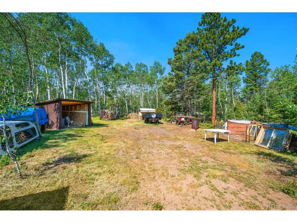 106 Forest Court Florissant, CO 80816