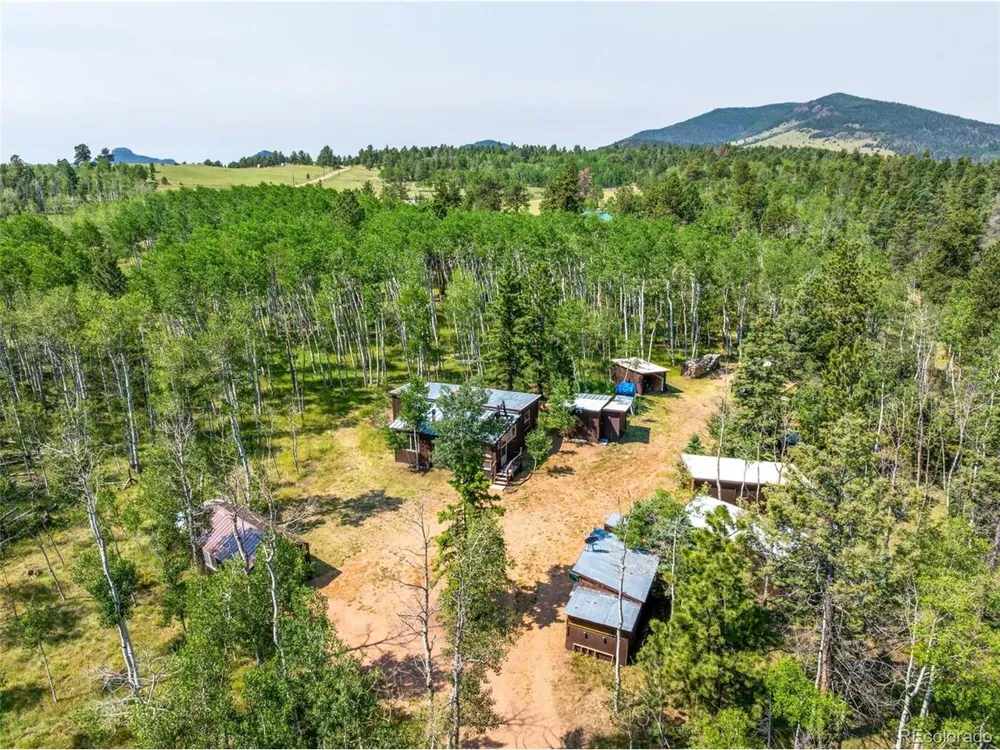 106 Forest Court Florissant, CO 80816