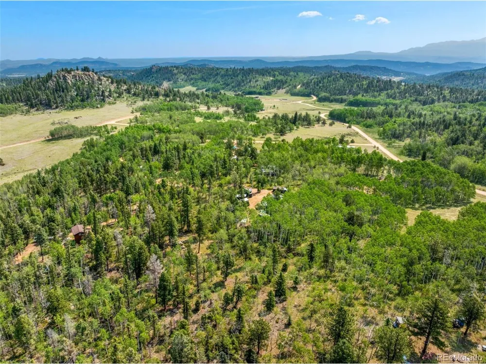 106 Forest Court Florissant, CO 80816