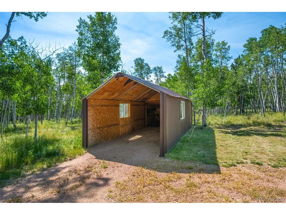 106 Forest Court Florissant, CO 80816