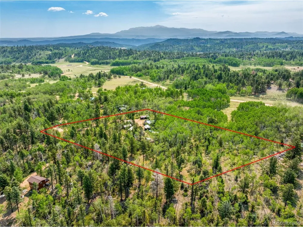 106 Forest Court Florissant, CO 80816