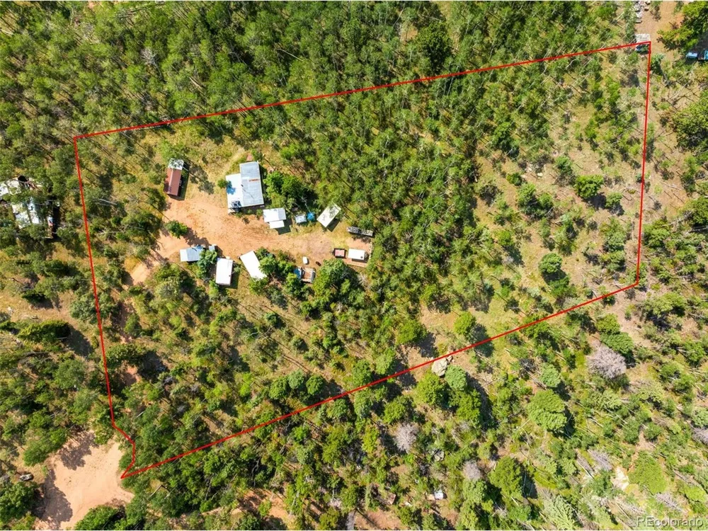 106 Forest Court Florissant, CO 80816