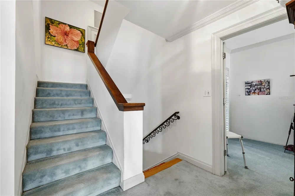 5210 INTERBAY BOULEVARD #3 Tampa, FL 33611