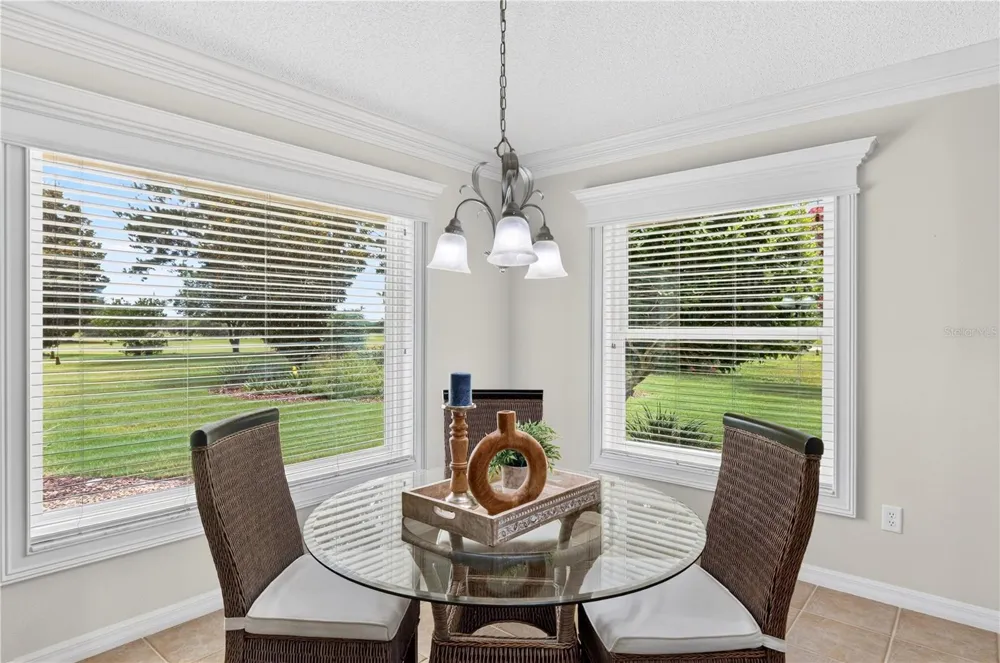 16815 SE 85TH BELKNAP AVENUE The Villages, FL 32162