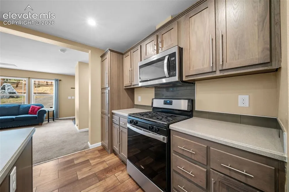 156 Fossil Creek Road Florissant, CO 80816