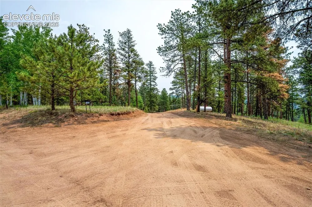 156 Fossil Creek Road Florissant, CO 80816