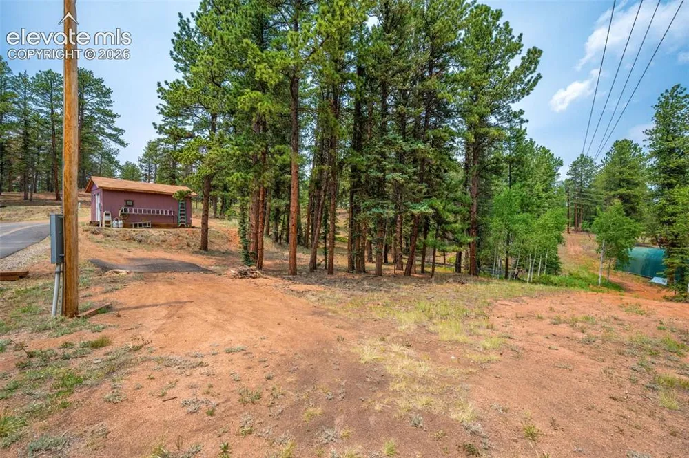 156 Fossil Creek Road Florissant, CO 80816