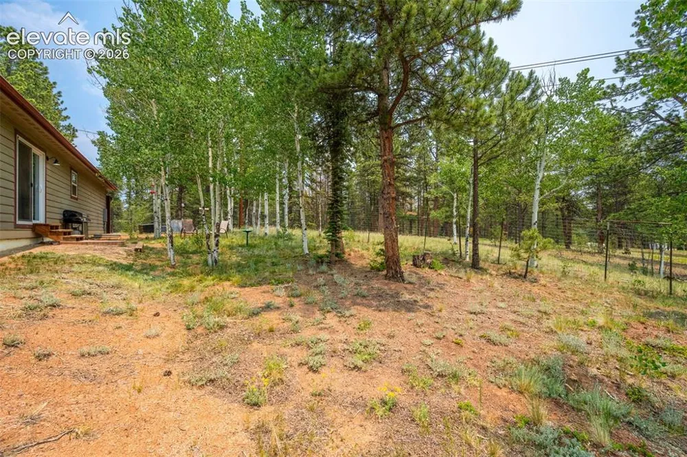 156 Fossil Creek Road Florissant, CO 80816
