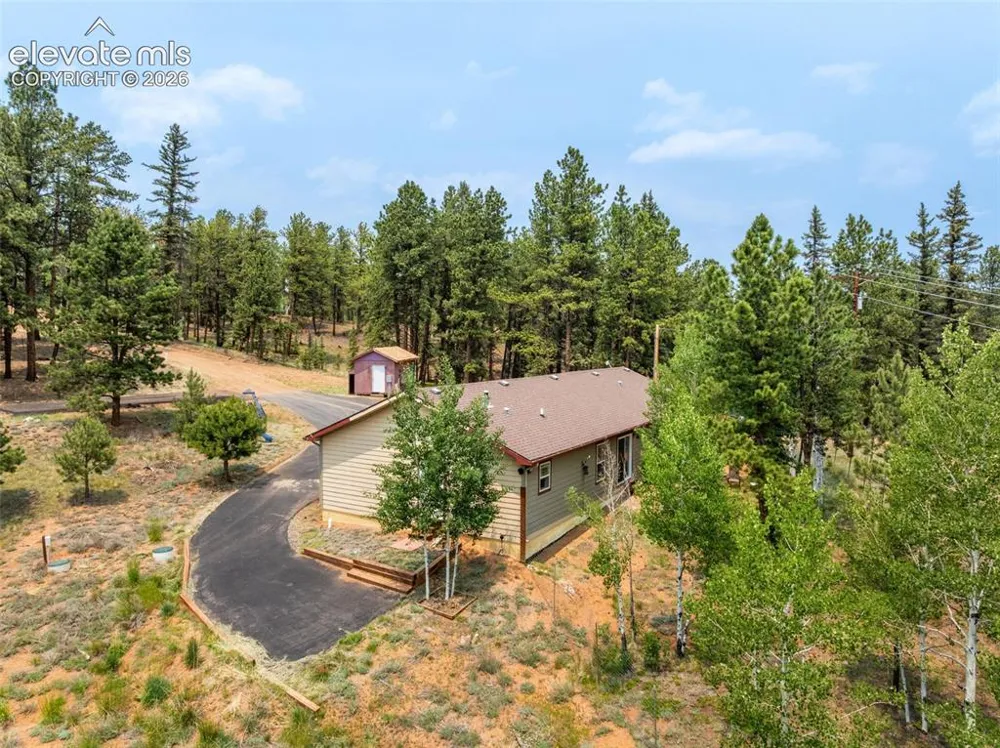 156 Fossil Creek Road Florissant, CO 80816