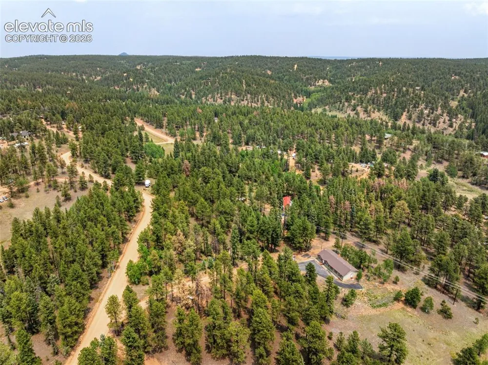 156 Fossil Creek Road Florissant, CO 80816