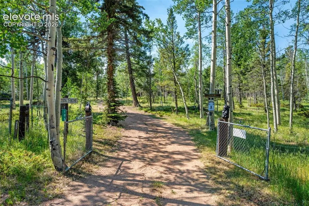 106 Forest Court Guffey, CO 80820
