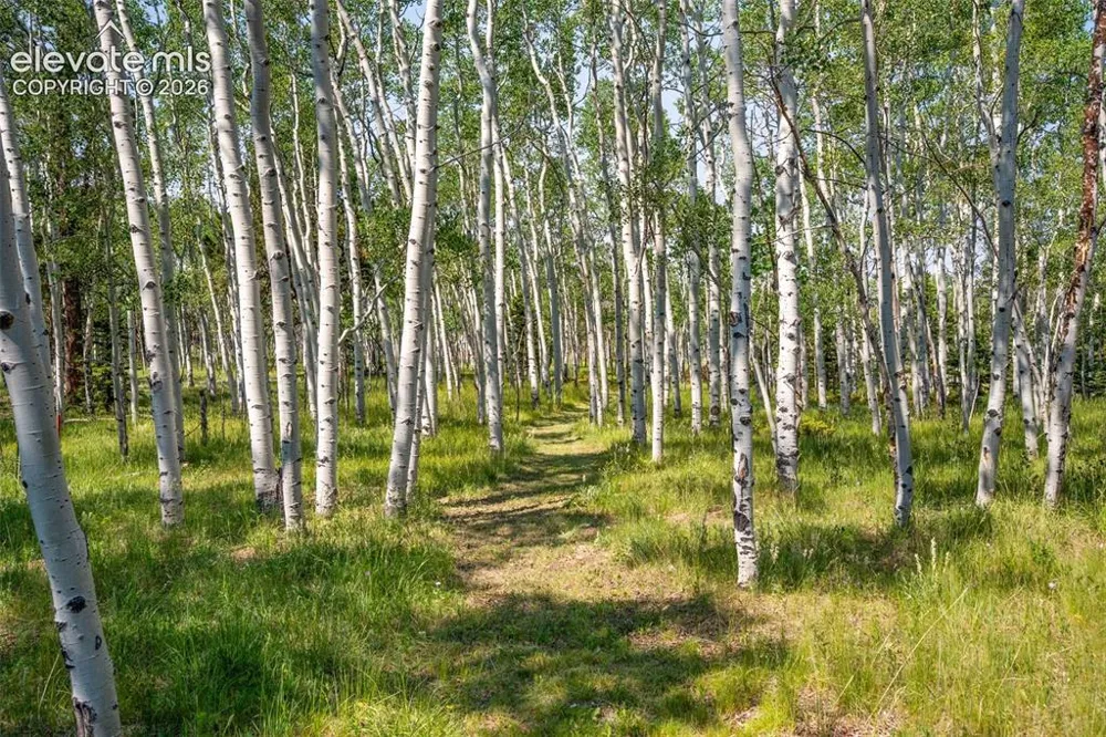 106 Forest Court Guffey, CO 80820