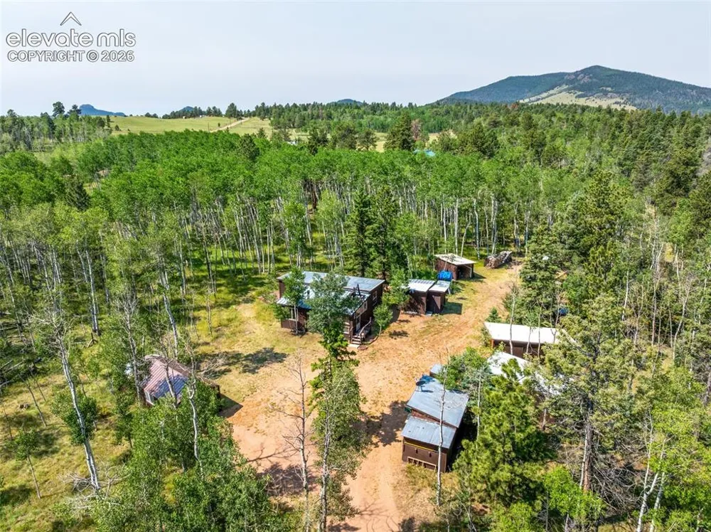 106 Forest Court Guffey, CO 80820