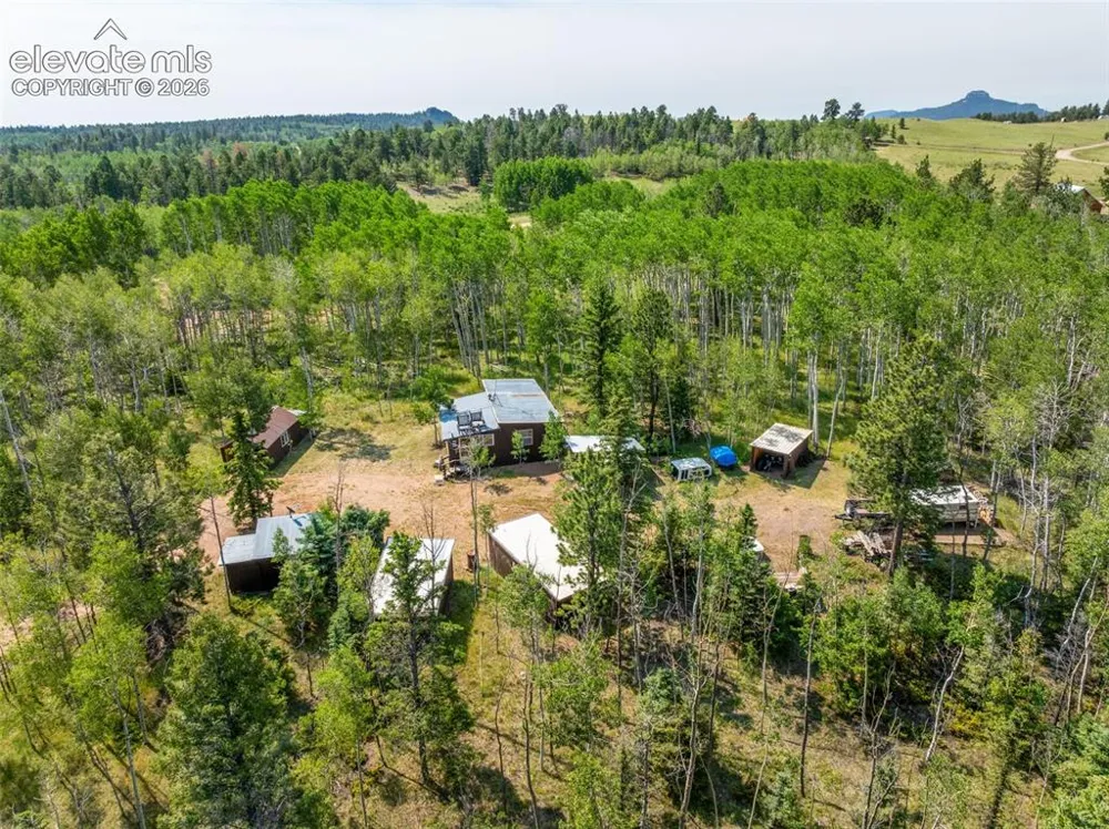 106 Forest Court Guffey, CO 80820