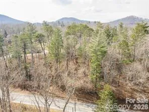 tbd Ball Gap Road Arden, NC 28704