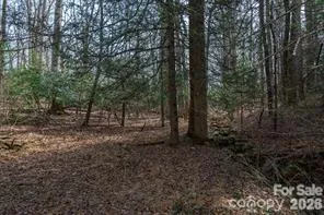 tbd Ball Gap Road Arden, NC 28704