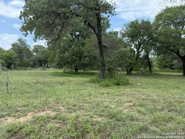 1917 Palo Alto Von Ormy, TX 78073