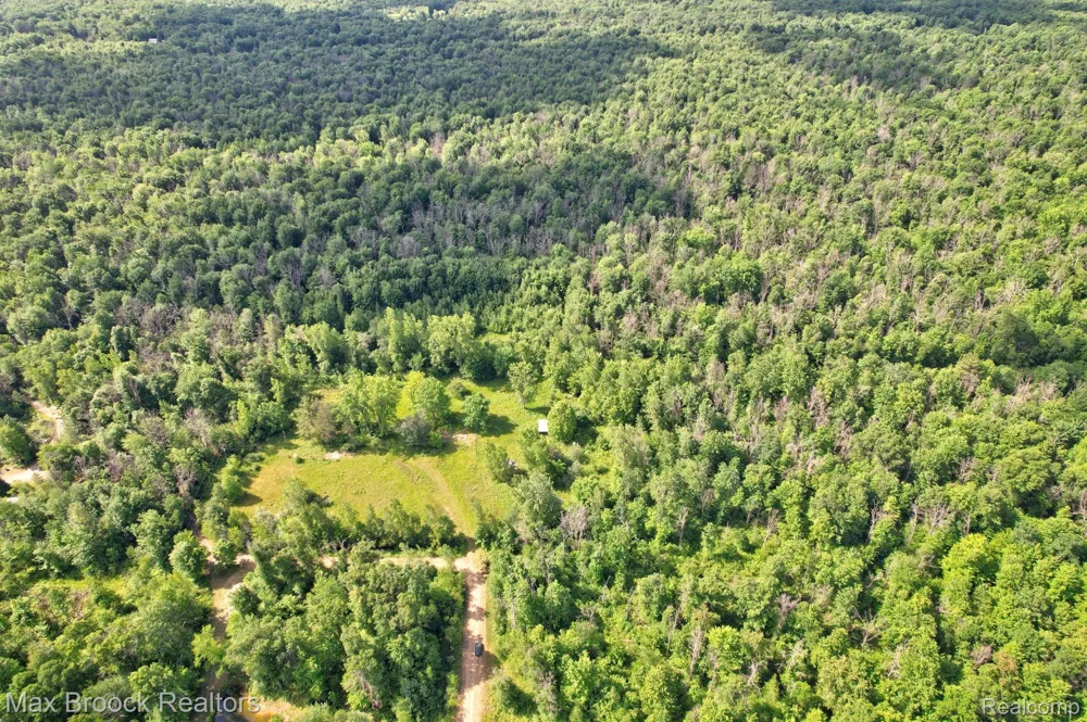 622 Moonlight Drive Lee Township, MI 48640