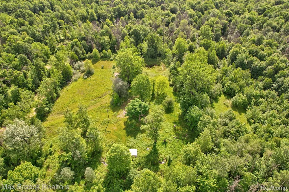 622 Moonlight Drive Lee Township, MI 48640