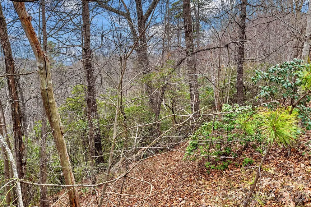 230 Catawba Falls Parkway Black Mountain, NC 28711