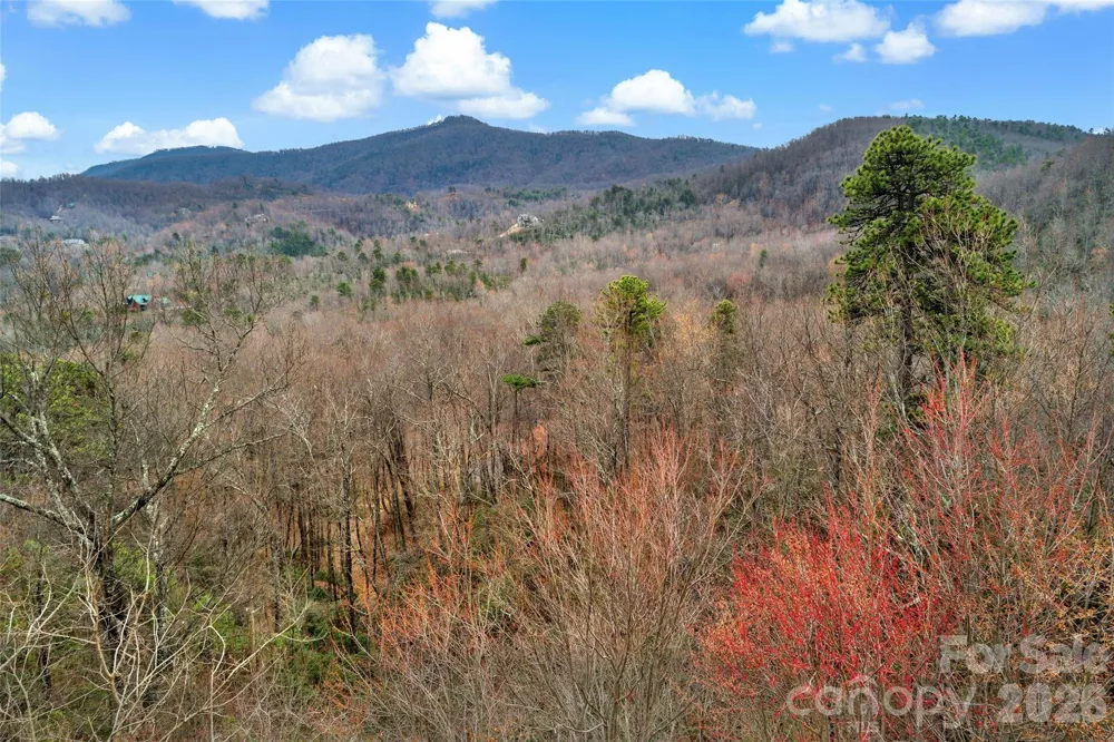 230 Catawba Falls Parkway Black Mountain, NC 28711
