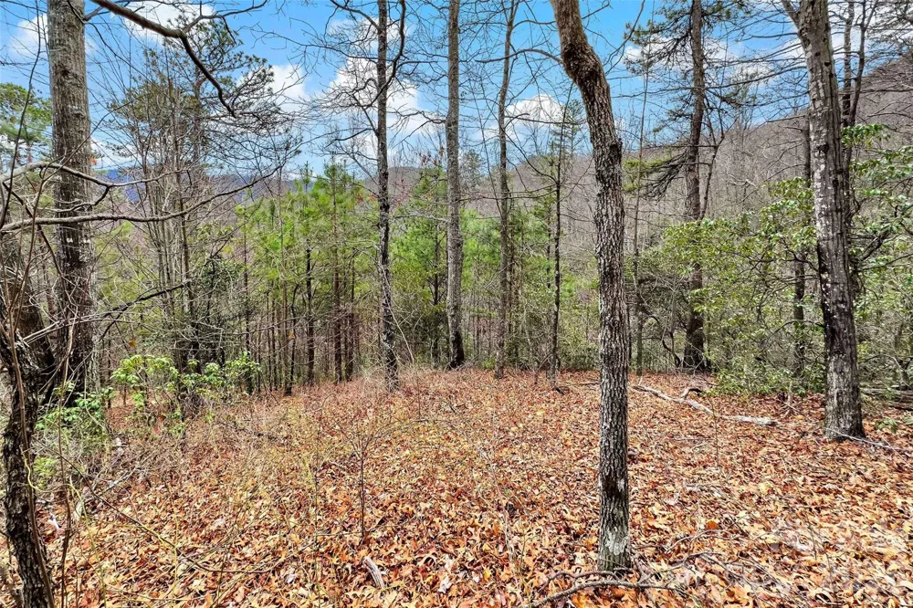 230 Catawba Falls Parkway Black Mountain, NC 28711