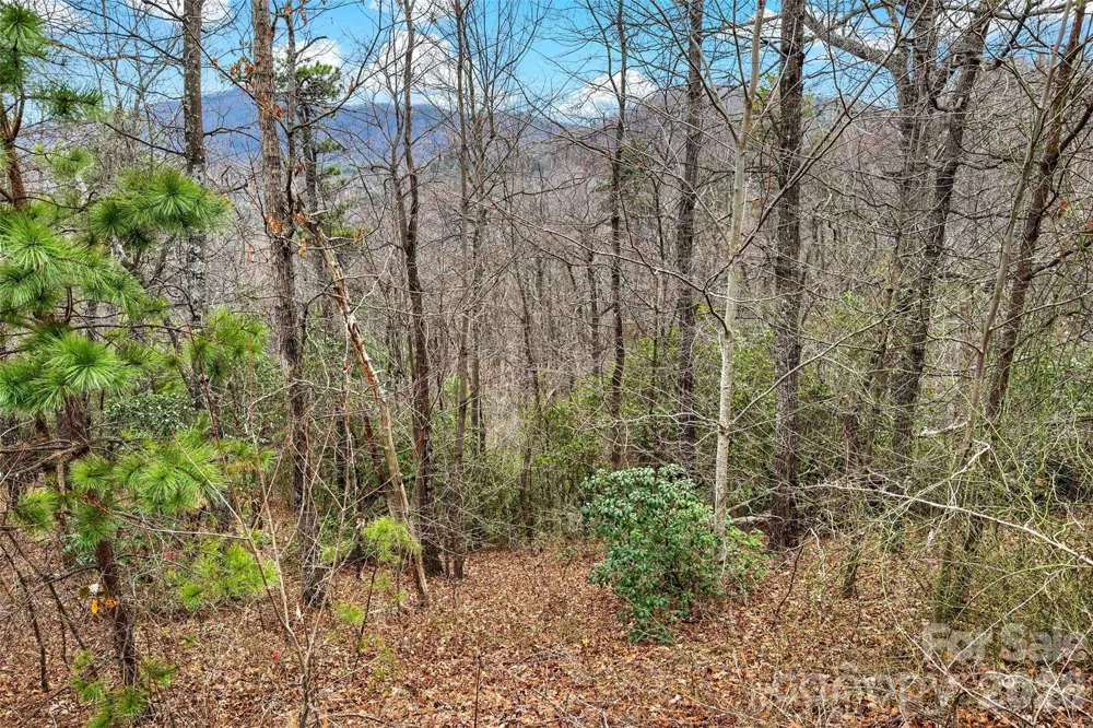 230 Catawba Falls Parkway Black Mountain, NC 28711