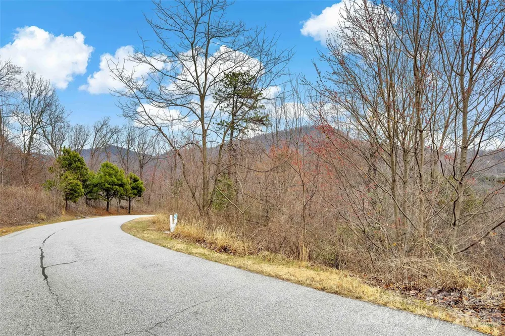 230 Catawba Falls Parkway Black Mountain, NC 28711