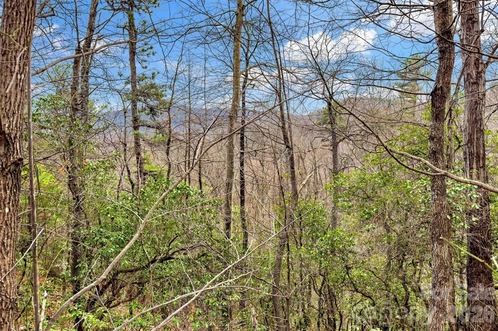 230 Catawba Falls Parkway Black Mountain, NC 28711