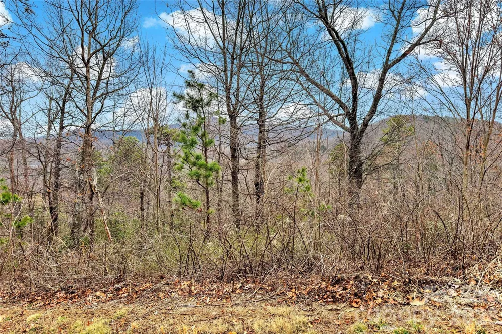 230 Catawba Falls Parkway Black Mountain, NC 28711