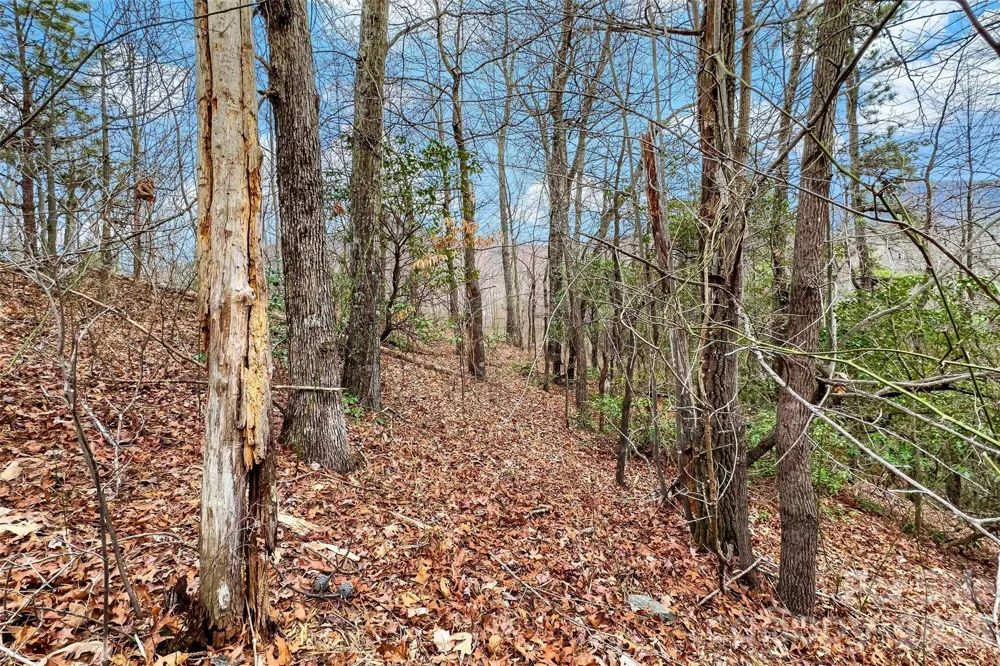230 Catawba Falls Parkway Black Mountain, NC 28711