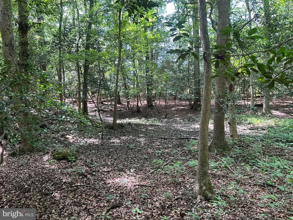 CEDAR COURT Hebron, MD 21830