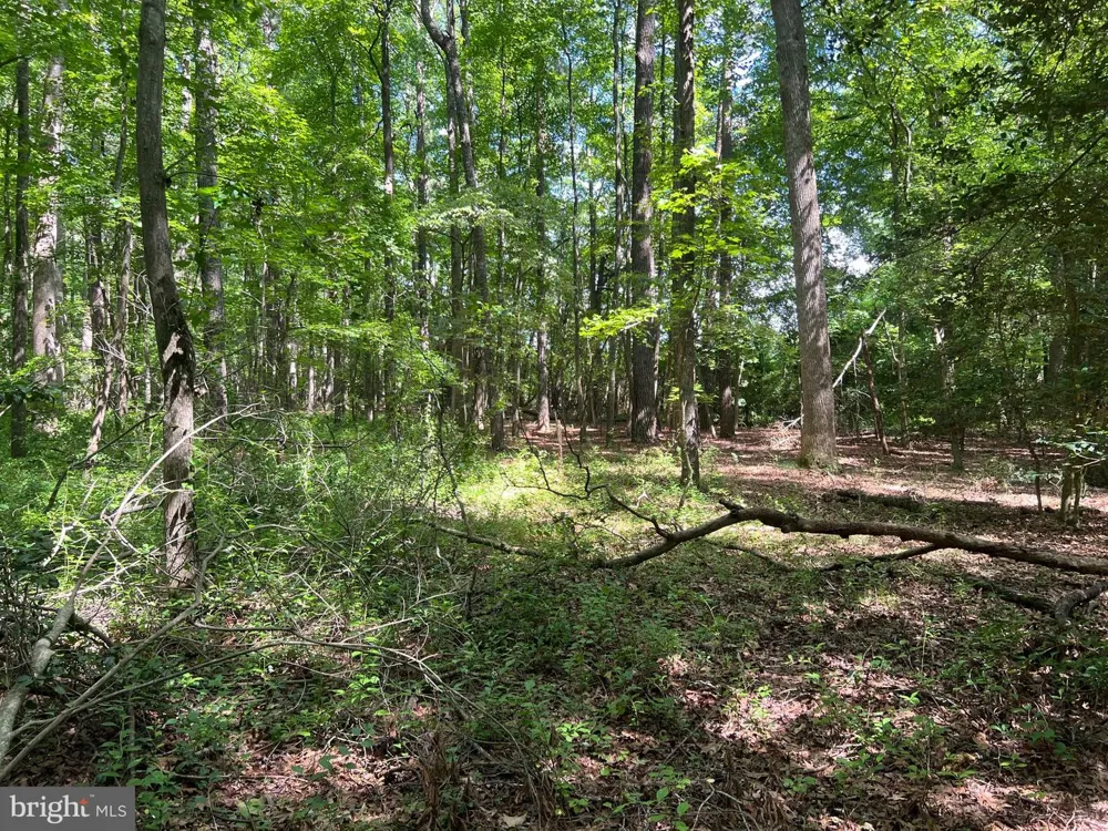CEDAR COURT Hebron, MD 21830