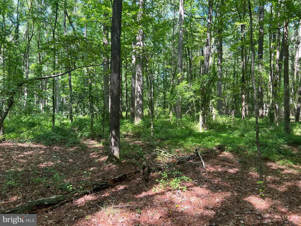 CEDAR COURT Hebron, MD 21830