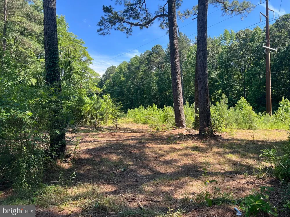 CEDAR COURT Hebron, MD 21830