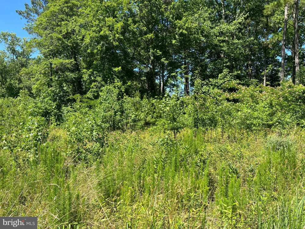 CEDAR COURT Hebron, MD 21830