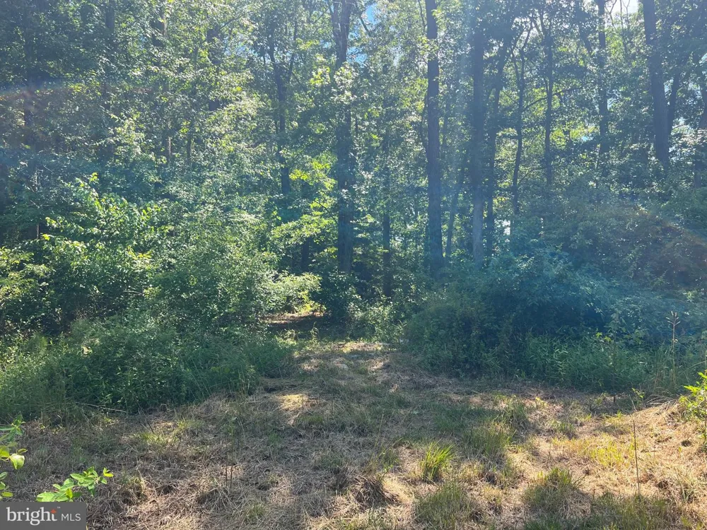 CEDAR COURT Hebron, MD 21830