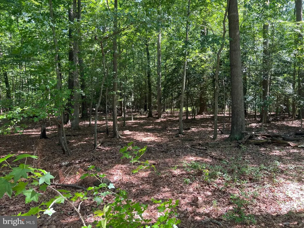 CEDAR COURT Hebron, MD 21830