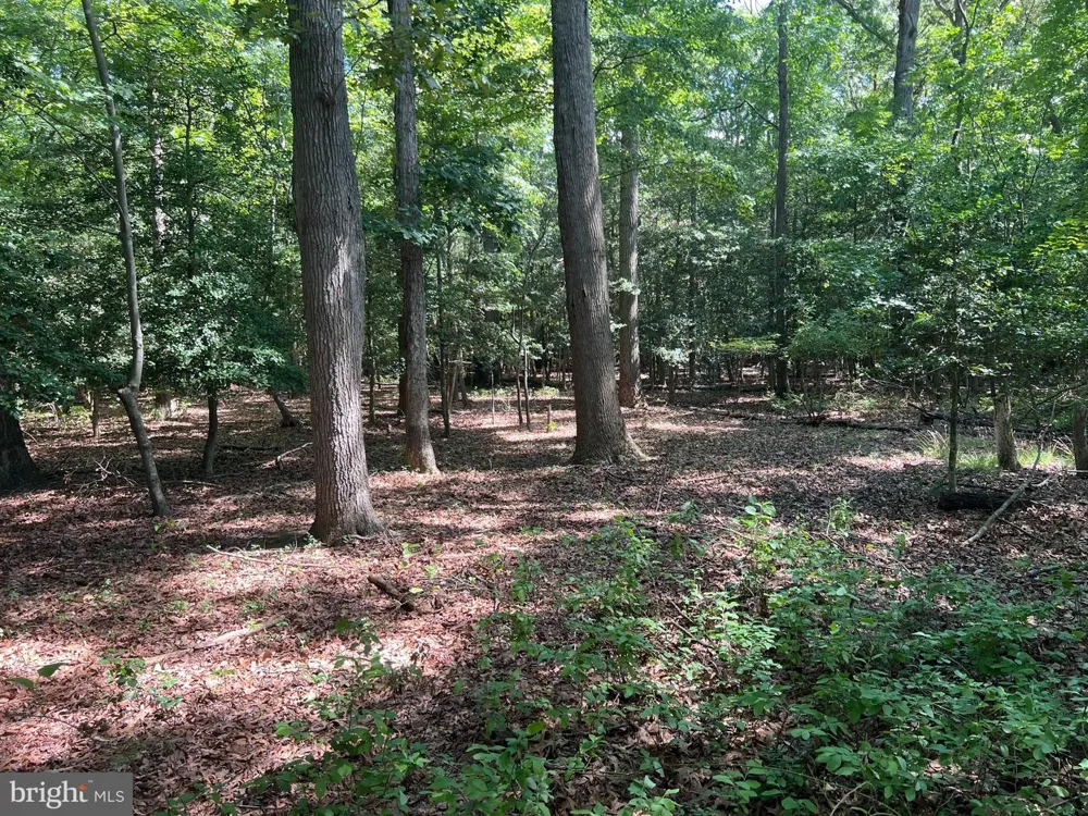 CEDAR COURT Hebron, MD 21830