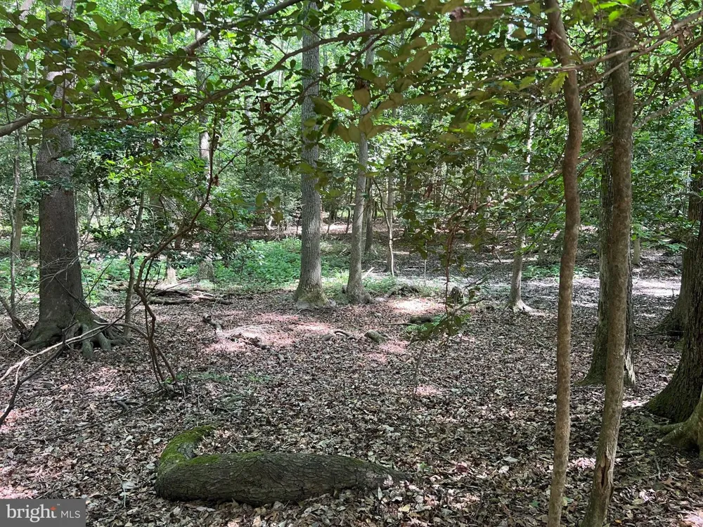 CEDAR COURT Hebron, MD 21830