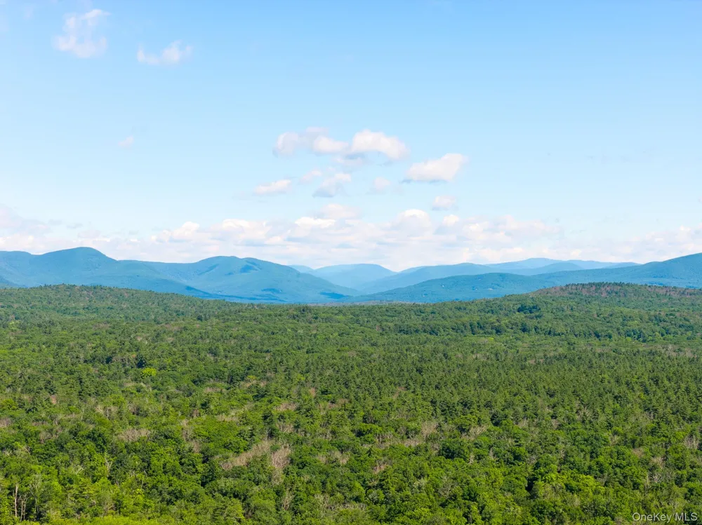 TBD Buck Road Stone Ridge, NY 12484