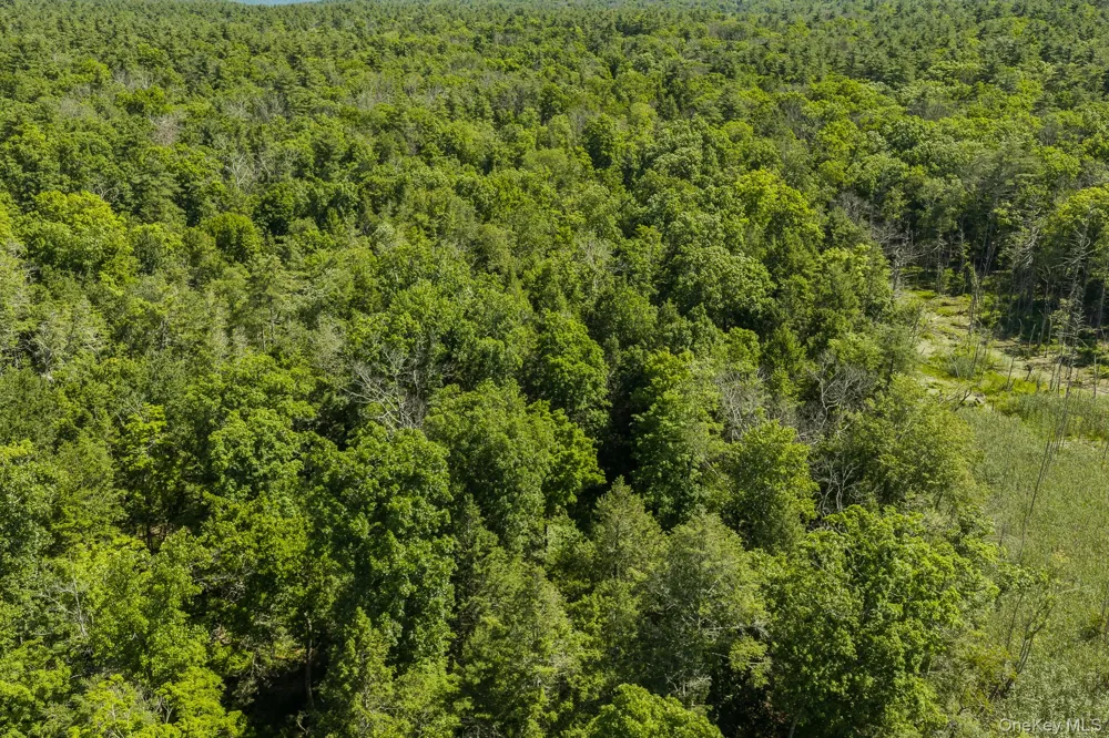 TBD Buck Road Stone Ridge, NY 12484