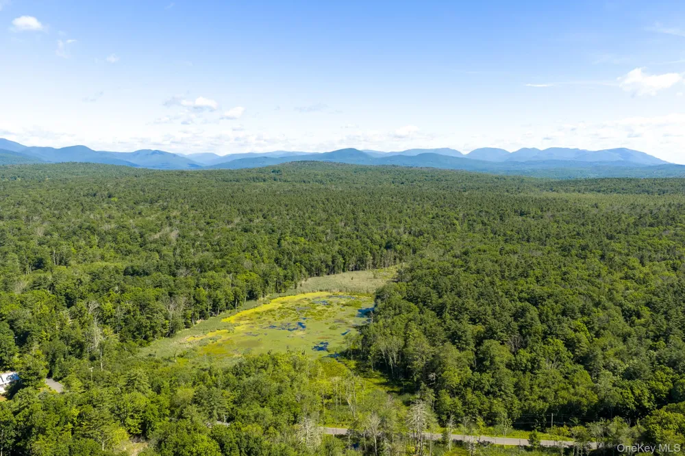 TBD Buck Road Stone Ridge, NY 12484